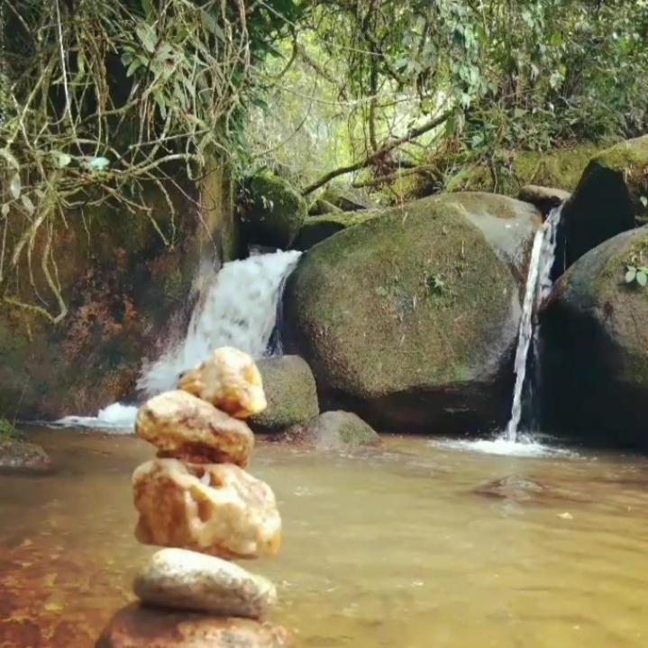 Morena Raiz Lodge *