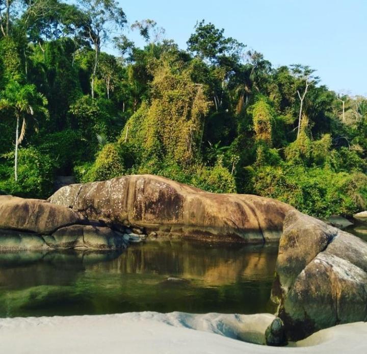 Morena Raiz * Ubatuba